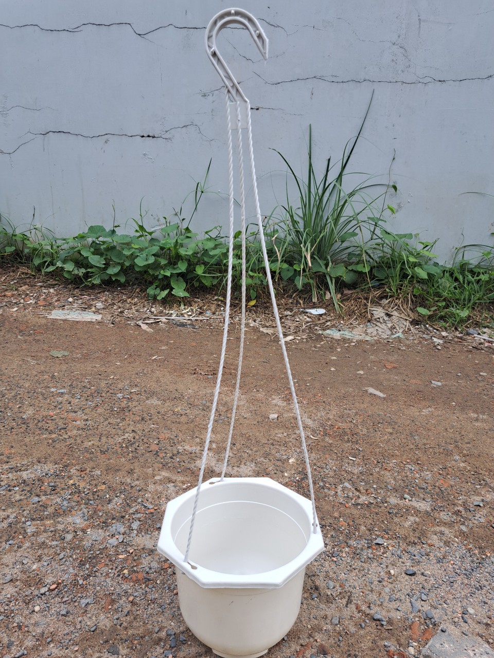 TreoLục giác nhỏ trắng,xanh,vàng,đỏ